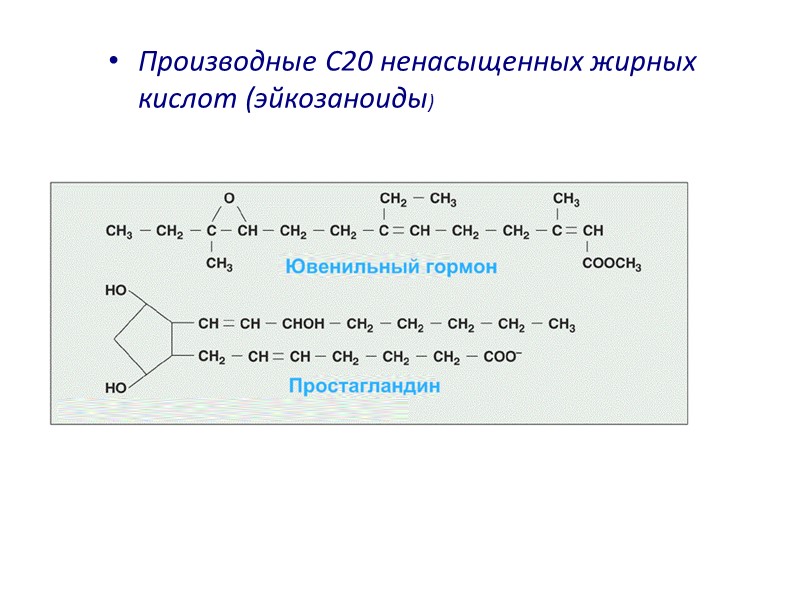 Производные С20 ненасыщенных жирных кислот (эйкозаноиды)